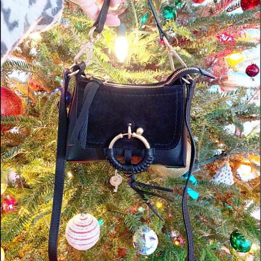 Chloe Handbag